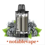 Gunnpod moss Blackberry Ice “pod"