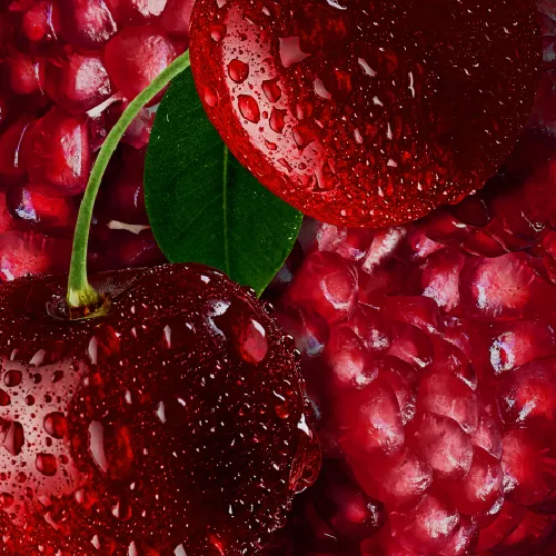 my vapes australia - Professional Guide and Review