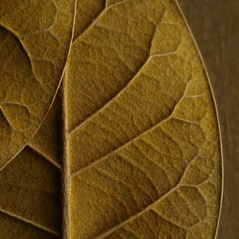 how much nicotine is in a vape - Professional Guide and Review